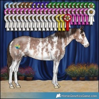 Horse Color:Liver Chestnut Sabino