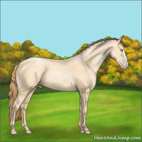 Horse Color:Smoky Black Pearl Splash 