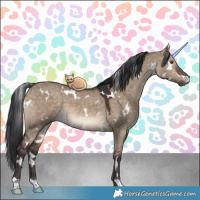 Horse Color:White Spotted Brown Dun 