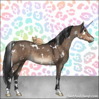Horse Color:White Spotted Brown Dun