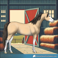 Horse Color:Buckskin Splash 