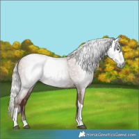 Horse Color:Gray Silver Black Pearl Tobiano 
