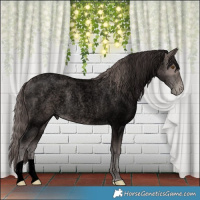 Horse Color:Void Platinum Brown Roan Pearl 