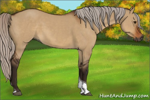 Horse Color:Gray Silver Brown Dun Tobiano 