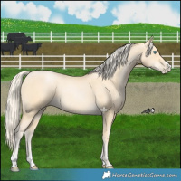 Horse Color:Palomino Pearl 