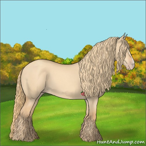 Horse Color:Gold Champagne Dun 