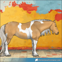 Horse Color:Silver Buckskin Tobiano Rabicano 