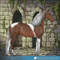 Horse Color:Silver Brown Tobiano Rabicano 