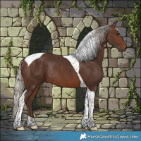 Horse Color:Silver Brown Tobiano Rabicano 