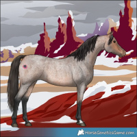Horse Color:Bay Roan 