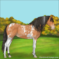 Horse Color:Bay Tobiano Varnish
