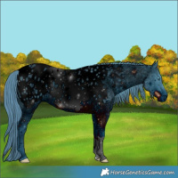 Horse Color:ERROR: UNKNOWN ANOMALY