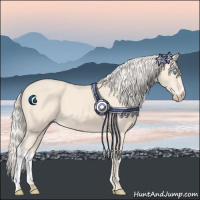 Horse Color:Cremello 