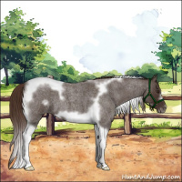 Horse Color:Liver Red Roan Tobiano Frame