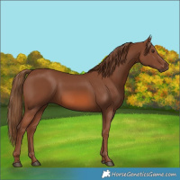 Horse Color:Chestnut 