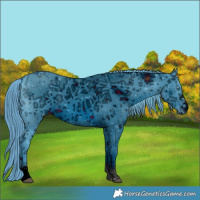 Horse Color:ERROR: UNKNOWN ANOMALY