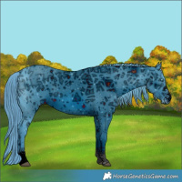 Horse Color:ERROR: UNKNOWN ANOMALY