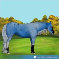 Horse Color:ERROR: UNKNOWN ANOMALY
