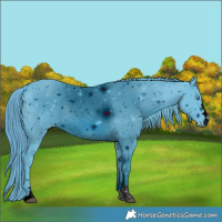 Horse Color:ERROR: UNKNOWN ANOMALY