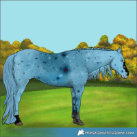 Horse Color:ERROR: UNKNOWN ANOMALY