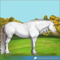 Horse Color:Gray Amber Champagne Roan Tobiano Frame Blanket 
