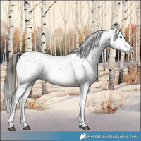 Horse Color:Liver Chestnut Sabino Splash Snowflake Varnish