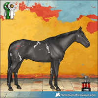 Horse Color:White Spotted Black 