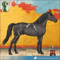 Horse Color:White Spotted Black