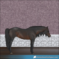 Horse Color:Brown 