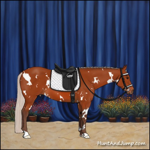 Horse Color:White Spotted Silver Bay 