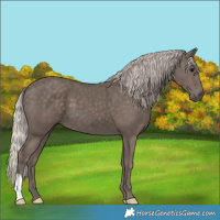 Horse Color:Silver Black 