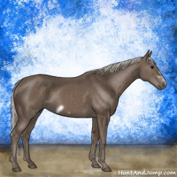 Horse Color:Silver Black Frame 