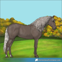 Horse Color:Silver Black 