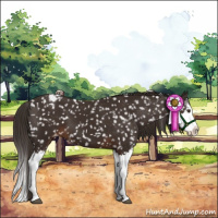 Horse Color:Liver Chestnut Sabino Splash Snowflake Varnish
