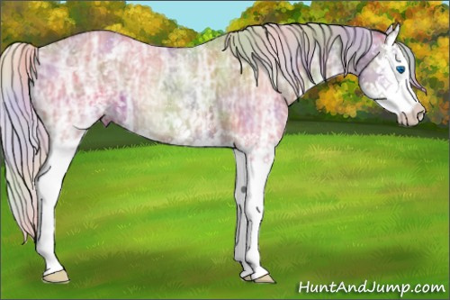 Horse Color:Nacre White Spotted Silver Bay Ice Dun Splash 