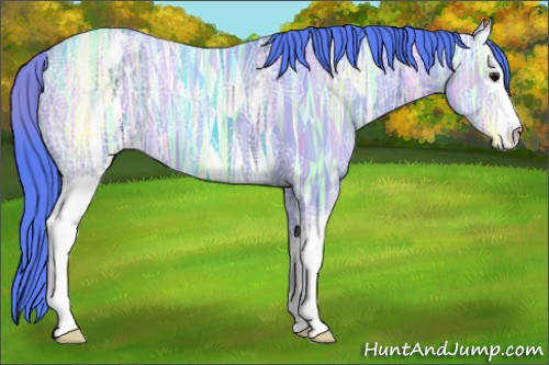 Horse Color:Watercolor White Spotted Smoky Black Ice Appaloosa 
