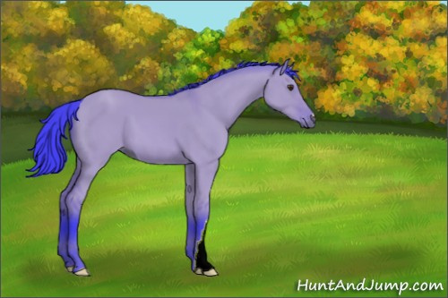 Horse Color:Watercolor Bay Dun 