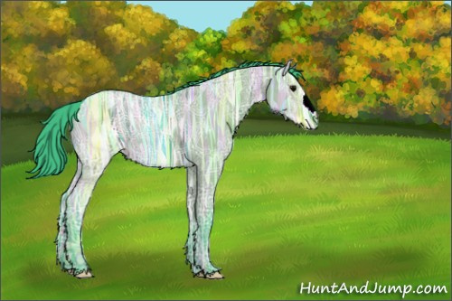 Horse Color:Watercolor Grullo Ice 