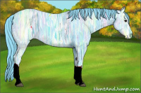 Horse Color:Watercolor Smoky Black Ice 