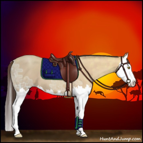 Horse Color:Amber Champagne Ice Splash 