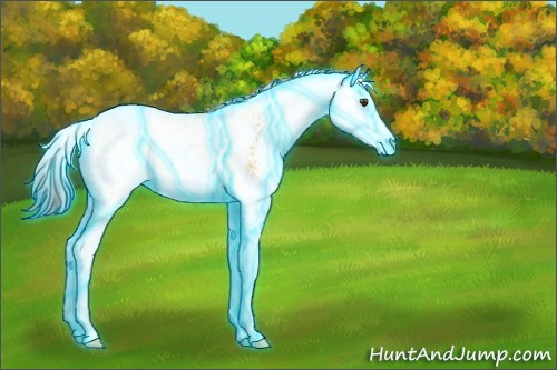 Horse Color:Thunderstruck Buckskin Ice Dun Sabino 