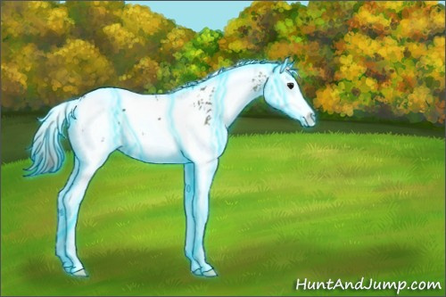 Horse Color:Thunderstruck Smoky Black Ice Sabino Splash Appaloosa 