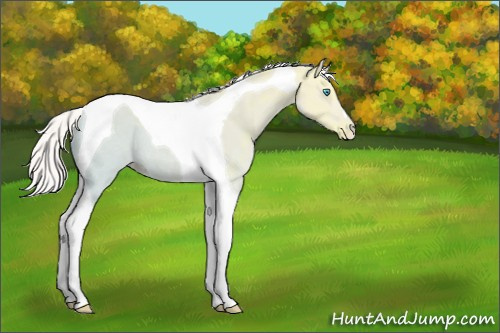 Horse Color:Silver Smoky Creme Ice Dun Tobiano 