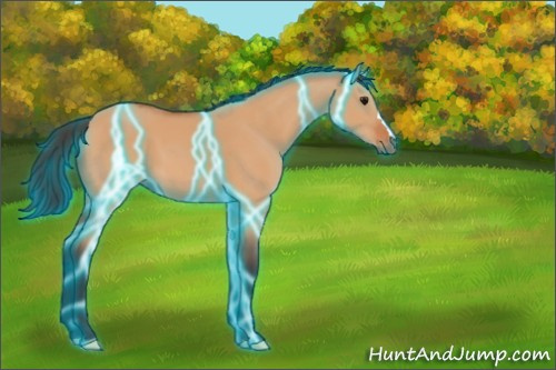 Horse Color:Thunderstruck Bay Dun 