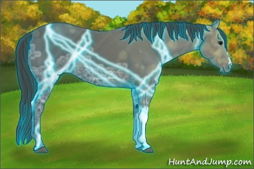 Horse Color:Thunderstruck Smoky Black Ice 