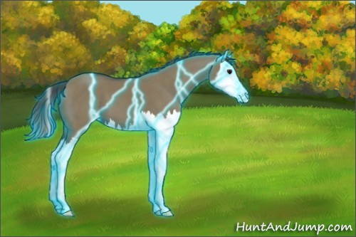 Horse Color:Thunderstruck Smoky Grullo Splash 