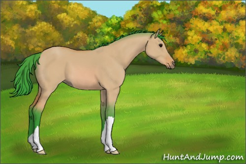Horse Color:Watercolor Bay Dun 