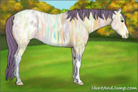 Horse Color:Watercolor Buckskin Ice Appaloosa 