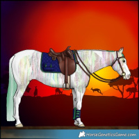 Horse Color:Watercolor Buckskin Ice Tobiano