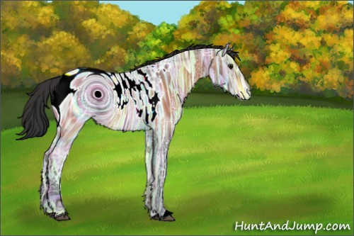 Horse Color:ERROR: UNKNOWN ANOMALY